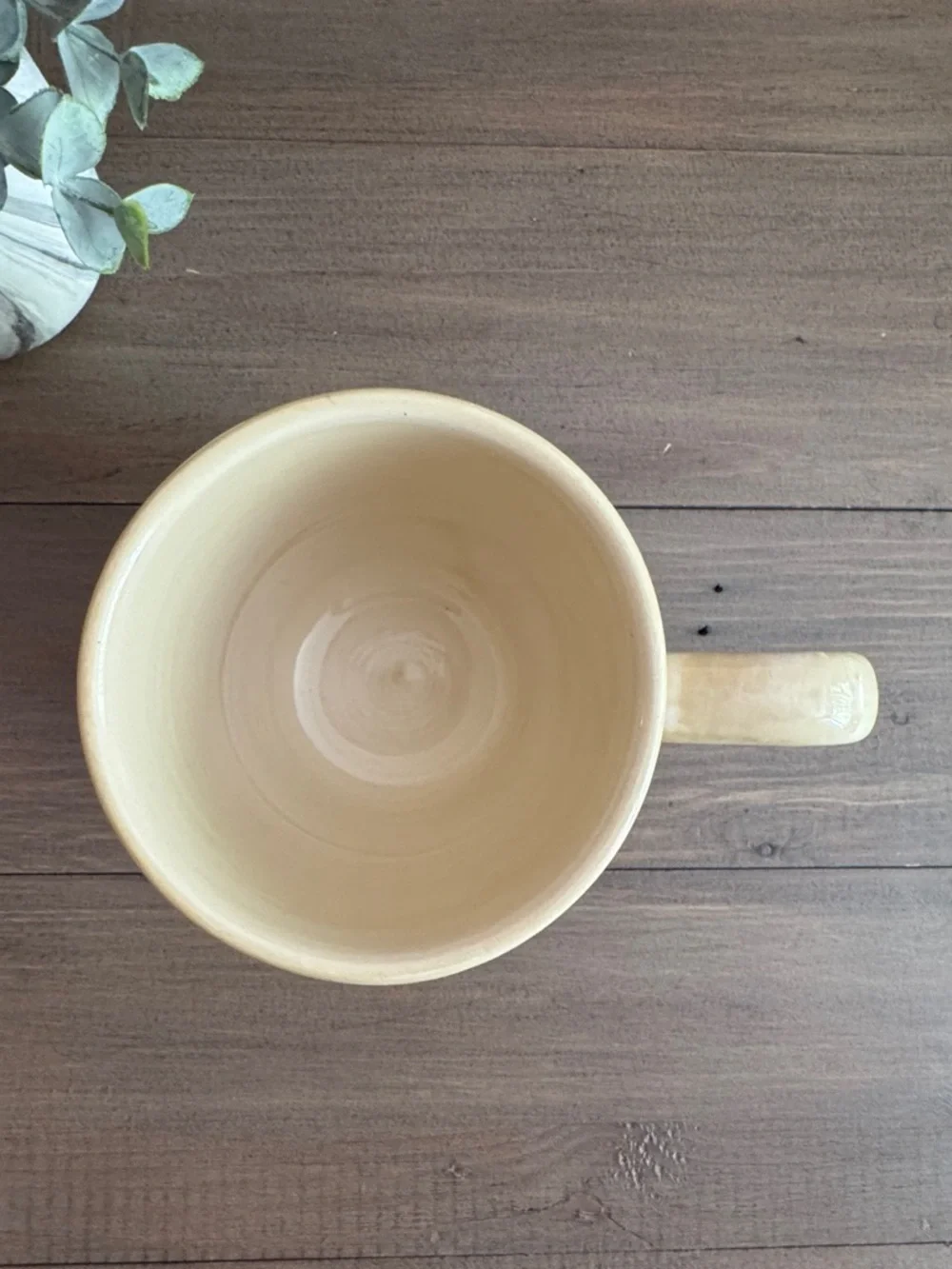 Pier 1 Imports Laurina Coffee Mug